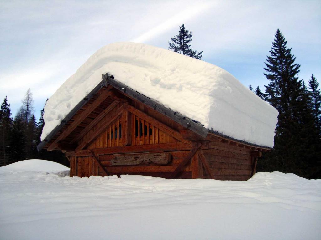 Malga Brenta Alta