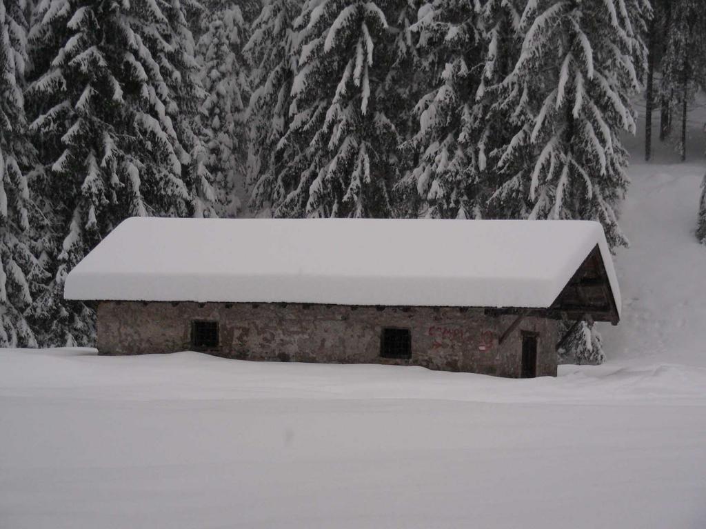 Malga Brenta Bassa