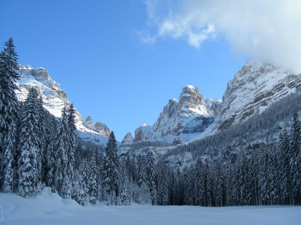 Malga Brenta Bassa