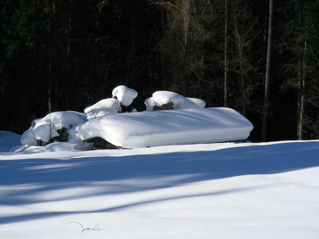 Malga Frate Val Brenta