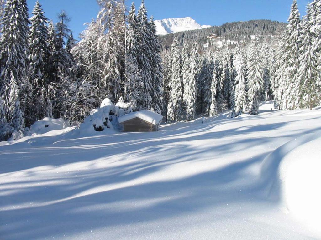 Pascolo zona Cason in Val Brenta